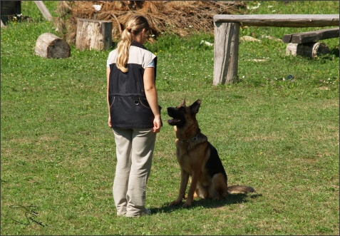 SVV exam - 25. 8. 2007 - Jelenec - Slovakia